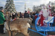 В праздники на лошадях и повозках будут катать возле «Руськино»