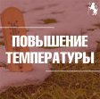 �� ��������� �������������� ��������� ����������� �������