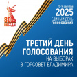 Избирательные участки города Владимира открыли свои двери – начался третий день голосования Избирательные участки города Владимира открыли свои двери – начался третий день голосования