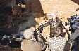 Магистраль на Стрелецкой
готова к подаче тепла
Магистраль на Стрелецкой
готова к подаче тепла