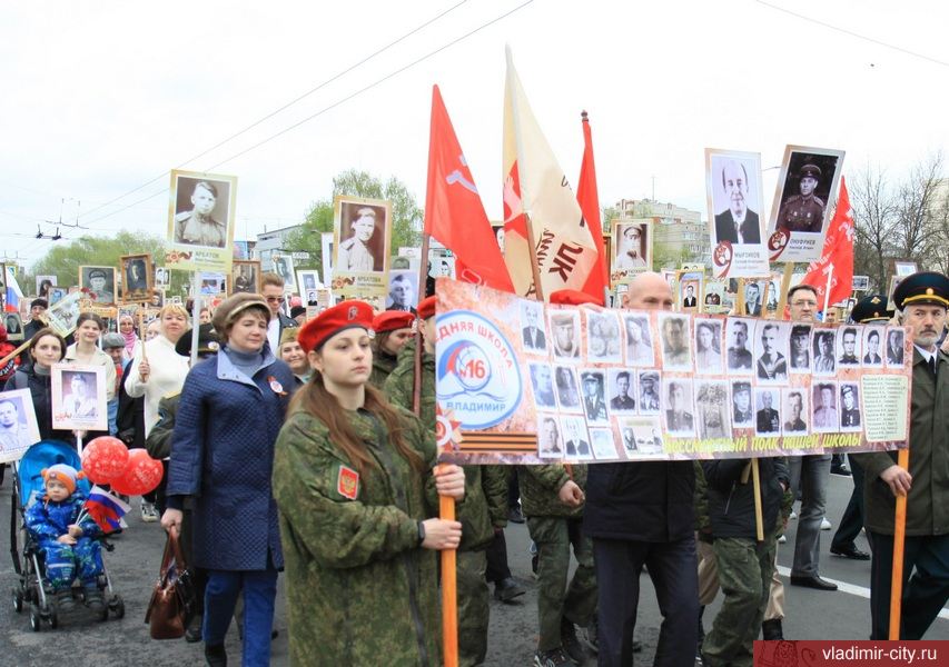«Бессмертный полк» и митинг на площади Победы во Владимире собрали более 27 тысяч горожан