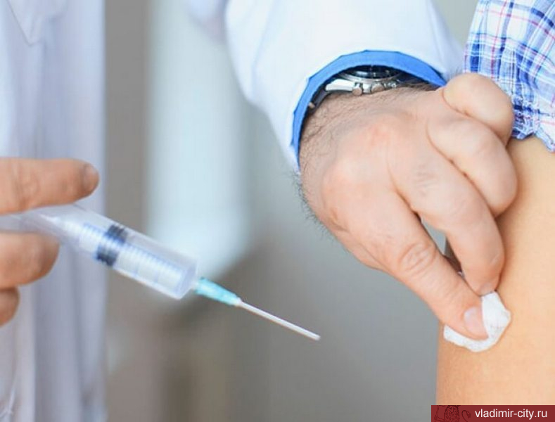 Во владимирских школах и детских садах продолжается вакцинация против гриппа