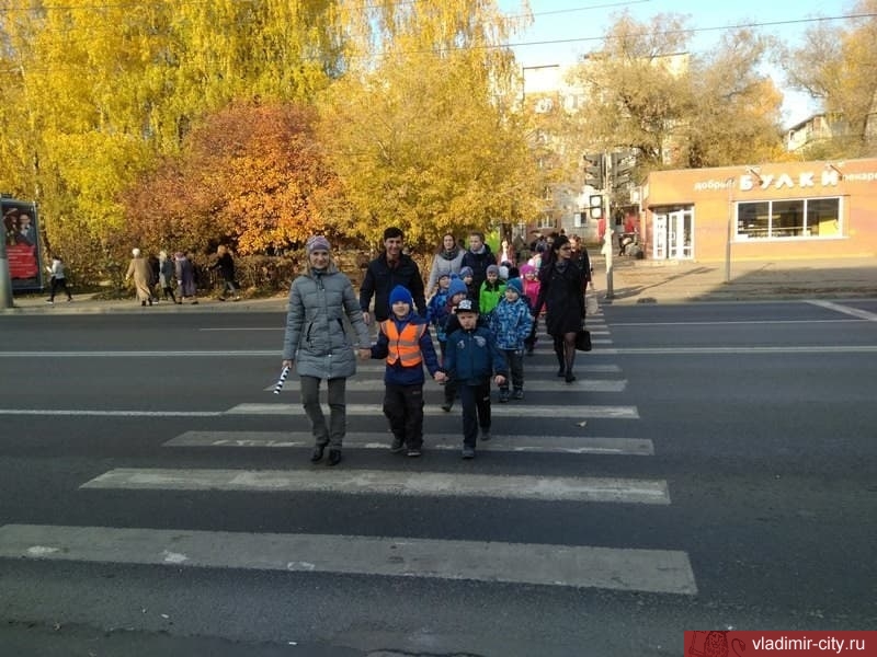 Владимирские дошкольники ходят в ... университет